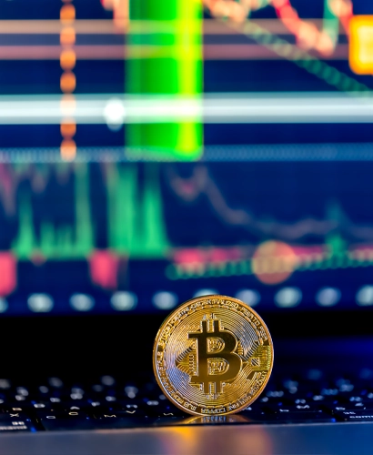 Connexions NorvexTalyx